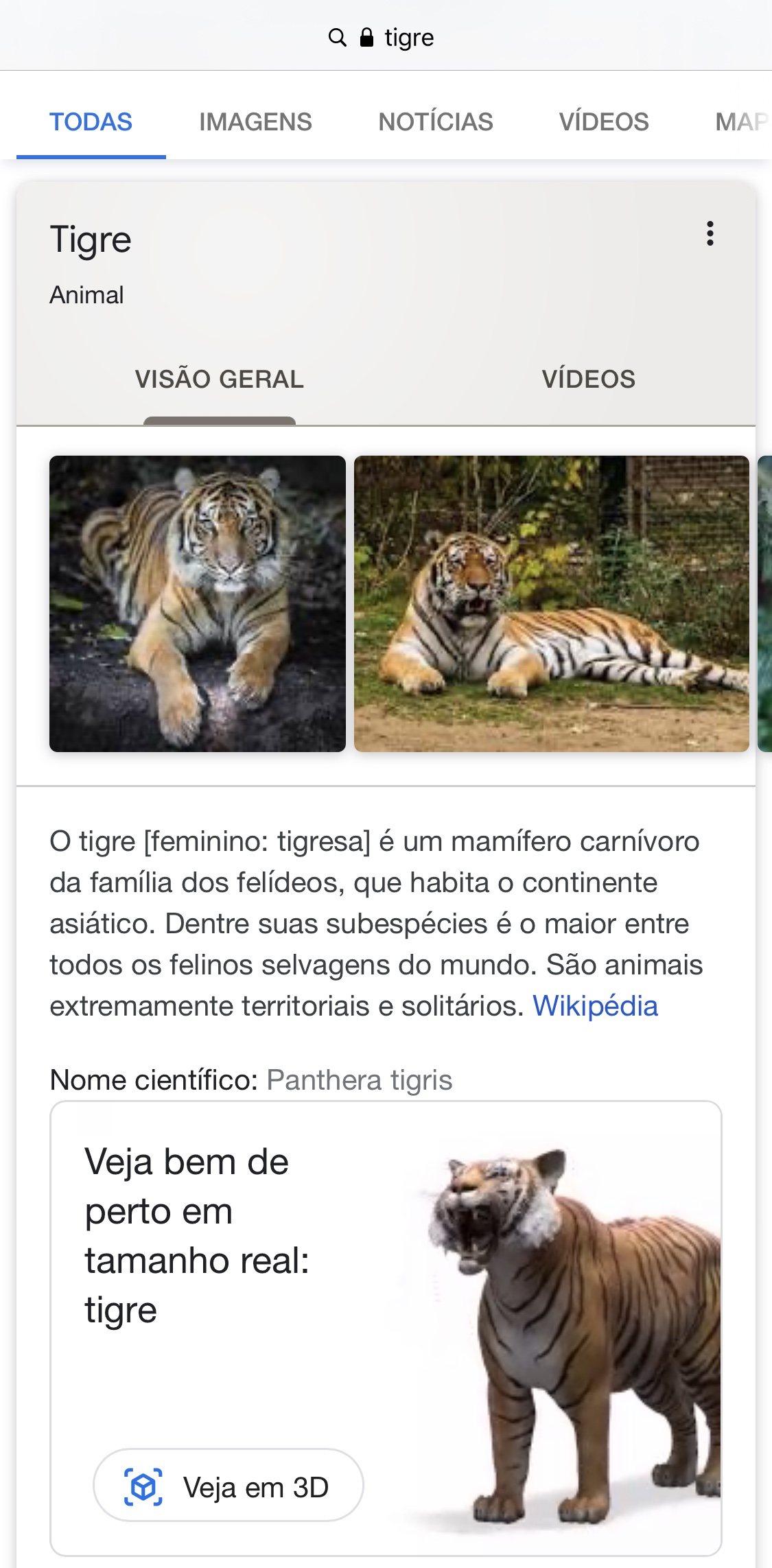 Google permite ver animais em 3D como se estivessem aonde você está –  Jornal do Estado do Rio