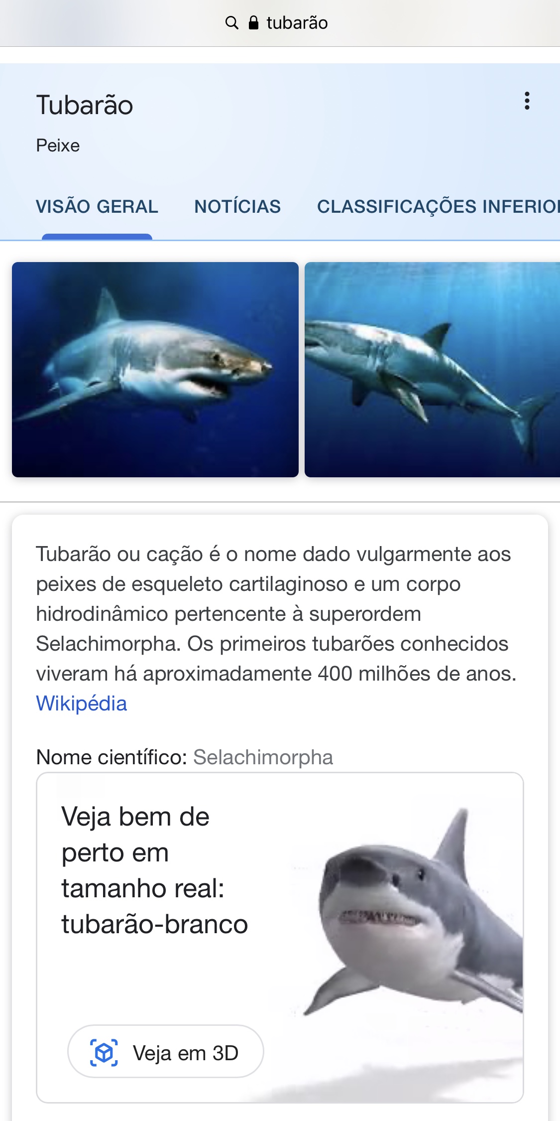 Google permite ver animais em 3D como se estivessem aonde você está –  Jornal do Estado do Rio